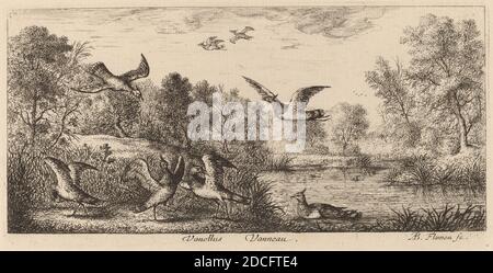 Albert Flamen, (Künstler), Flämisch, c. 1620 - 1669 oder danach, Vanellus, der Kiebitz, EIN Vogelbuch (Livre d'oiseaux), (Serie), Radierung Stockfoto