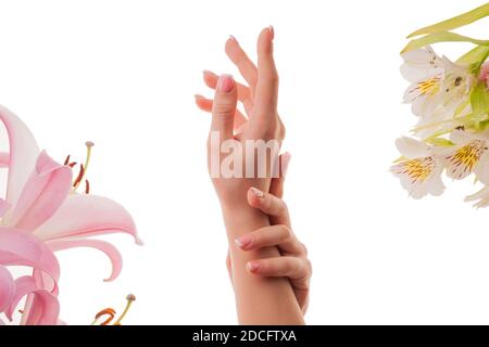 Weibliche Hände mit Französisch Maniküre und Lilienblumen isoliert auf weißem Hintergrund. Stockfoto