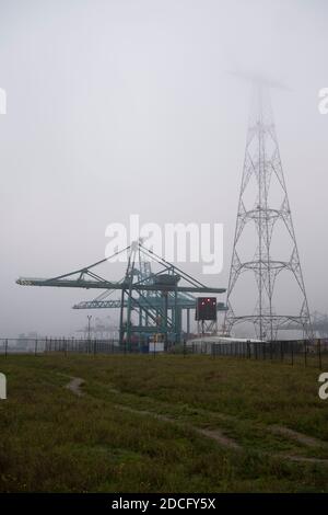 Strompylon in einem Industriegebiet, das in der verschwindet Dichter Nebel Stockfoto