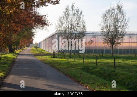 Roter Glanz aus der Heizung in einem Gewächshaus für Tomaten Neben einer Landstraße Stockfoto