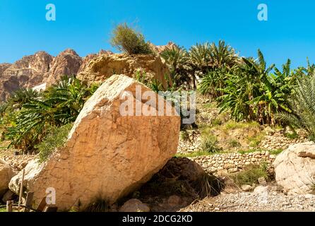 Landschaft von Wadi Tiwi Oase mit Bergen und Palmen im Sultanat Oman. Stockfoto