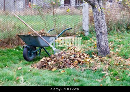 Grünrasenpflege, aufgehakte braune Blätter im Herbstgarten mit Metallrechen, Gartenrakkarre mit gesammelten Blättern, Bild mit Kopierraum. Stockfoto