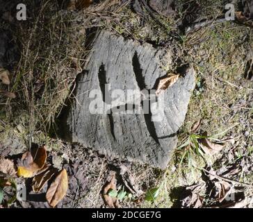 Deer Creek Ohio Camping Stockfoto