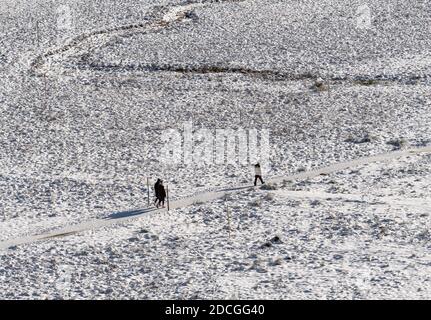 Spitzingsee, Deutschland. November 2020. Besucher wandern durch den verschneiten Firstgraben am Spitzingsee, der 1084 Meter über dem Meeresspiegel liegt. Kredit: Peter Kneffel/dpa/Alamy Live Nachrichten Stockfoto