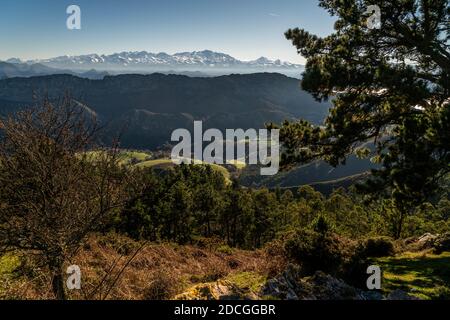 Ein Teil der Picos de Europa in der Provinz Asturien Spanien. Stockfoto