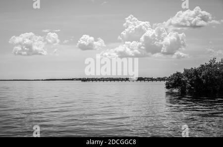 Die Angelpiers auf Charlotte Harbor im Südwesten Floridas in schwarz und weiß. Stockfoto