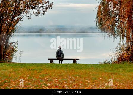 Kanyavar Insel kleiner balaton Gebiet in Ungarn. Berühmte natürliche reeed Bereich. Erstaunliche Natur und Tiere leben hier. Durch eine erstaunliche Holzbrücke Sie Stockfoto