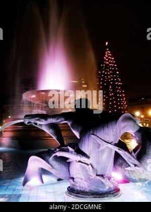 Weihnachtsnachtszene, Trafalgar Square der Jellicoe Memorial Fountain ist im Vordergrund, Trafalgar Square Weihnachtsbaum, von Norwegen begabt, dahinter Stockfoto