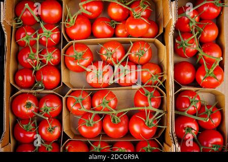 Tomaten in einer Pappschachtel in einem deutschen Bioladen angeboten. Stockfoto