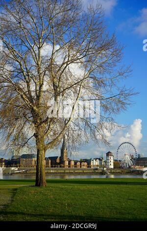 Blick über den Rhein vom Ufer des Oberkassel Bezirks in die Altstadt mit Riesenrad und den Wahrzeichen Lambertus Kirche und Burgturm. Stockfoto