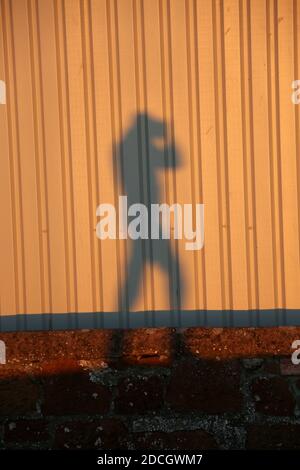 Schatten von Bank, Lampenfassung und Fotograf auf Wellwand. Ein konzeptionelles Bild . Raum für Text um und in Inage Stockfoto