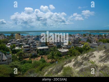 Steinhäuser in den Palmen, Lamu County, Shela, Kenia Stockfoto