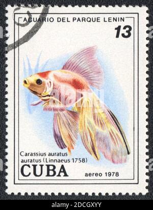 Eine in Kuba gedruckte Briefmarke zeigt einen Goldfisch (Carassius auratus auratus), Serie 'Aquarium of Lenin Park', um 1978 Stockfoto