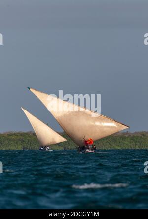 Dhow Rennen während des Maulid Festivals, Lamu County, Lamu, Kenia Stockfoto