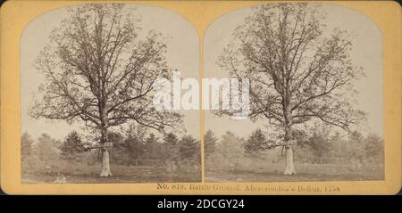 Schlachtfeld. Abercrombia's Defeat, 1758., Kilburn Brothers, Trees, Battlefields, Geschichte, New York (Bundesstaat), Vereinigte Staaten Stockfoto