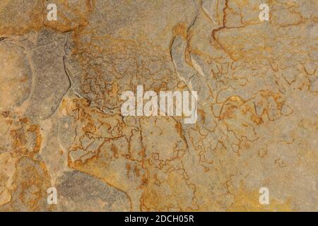Der Capitol Reef National Park befindet sich in der Mitte des 100 Meilen langen Waterpocket Fold, der zu einer der schönsten Landschaften der USA erodiert wurde. Stockfoto