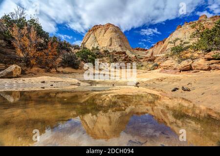 Der Capitol Reef National Park befindet sich in der Mitte des 100 Meilen langen Waterpocket Fold, der zu einer der schönsten Landschaften der USA erodiert wurde. Stockfoto