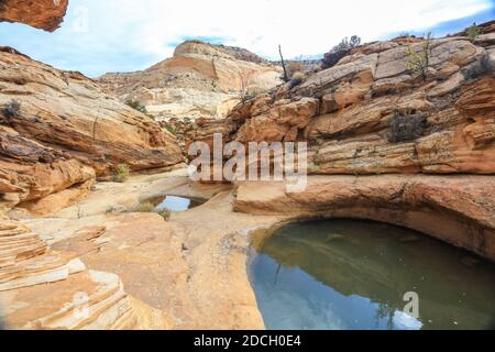 Der Capitol Reef National Park befindet sich in der Mitte des 100 Meilen langen Waterpocket Fold, der zu einer der schönsten Landschaften der USA erodiert wurde. Stockfoto