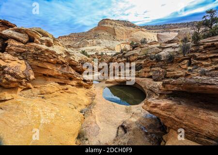 Der Capitol Reef National Park befindet sich in der Mitte des 100 Meilen langen Waterpocket Fold, der zu einer der schönsten Landschaften der USA erodiert wurde. Stockfoto