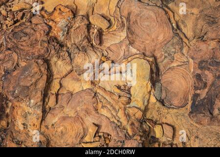 Der Capitol Reef National Park befindet sich in der Mitte des 100 Meilen langen Waterpocket Fold, der zu einer der schönsten Landschaften der USA erodiert wurde. Stockfoto