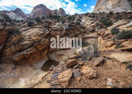 Der Capitol Reef National Park befindet sich in der Mitte des 100 Meilen langen Waterpocket Fold, der zu einer der schönsten Landschaften der USA erodiert wurde. Stockfoto