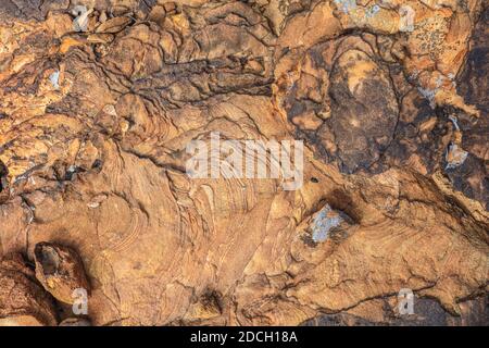 Der Capitol Reef National Park befindet sich in der Mitte des 100 Meilen langen Waterpocket Fold, der zu einer der schönsten Landschaften der USA erodiert wurde. Stockfoto