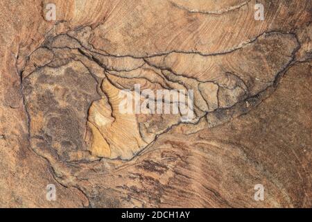 Der Capitol Reef National Park befindet sich in der Mitte des 100 Meilen langen Waterpocket Fold, der zu einer der schönsten Landschaften der USA erodiert wurde. Stockfoto