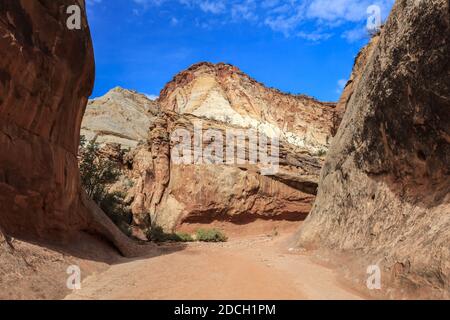 Der Capitol Reef National Park befindet sich in der Mitte des 100 Meilen langen Waterpocket Fold, der zu einer der schönsten Landschaften der USA erodiert wurde. Stockfoto