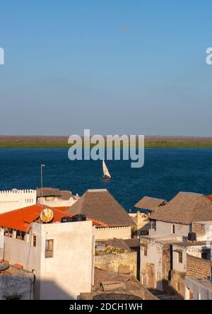 Hochwinkelansicht der Altstadt mit Steinhäusern, Lamu County, Lamu, Kenia Stockfoto