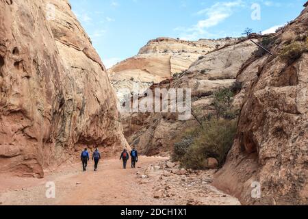 Der Capitol Reef National Park befindet sich in der Mitte des 100 Meilen langen Waterpocket Fold, der zu einer der schönsten Landschaften der USA erodiert wurde. Stockfoto