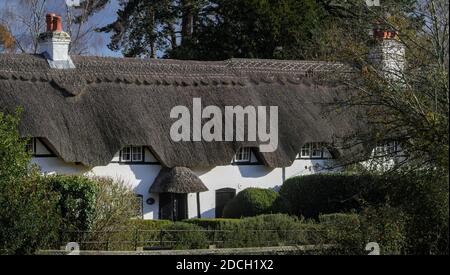 Reihe von verbundenen strohgedeckten Cottages in Swan Green New Forest Hampshire England Großbritannien, 18. Jahrhundert Klasse 2 aufgeführt Stockfoto