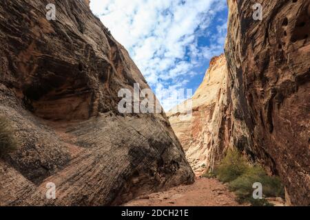 Der Capitol Reef National Park befindet sich in der Mitte des 100 Meilen langen Waterpocket Fold, der zu einer der schönsten Landschaften der USA erodiert wurde. Stockfoto