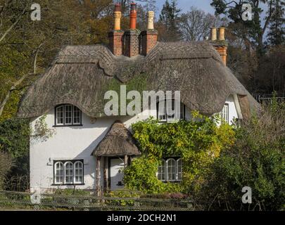 Vorderseite des Beehive Cottage mit Wisteria English 18. Jahrhundert Reetgedeckten Cottage, Klasse 2 aufgeführt. Swan Green Cottages, New Forest, Lyndhurst UK Stockfoto