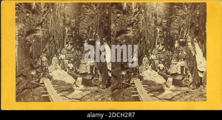 Besucher an der Flume, 1867., Fifield, H. S., Canyons, New Hampshire, Franconia Notch State Park (N.H Stockfoto