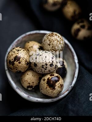 Wachteleier in weißer Schüssel auf schwarzem Hintergrund, Wachteleier, Wachtelhaufen Eier in Schüssel, gesprenkelte Eier, gesprenkelte Eier in Schüssel, Wachteleier dunklen Hintergrund Stockfoto