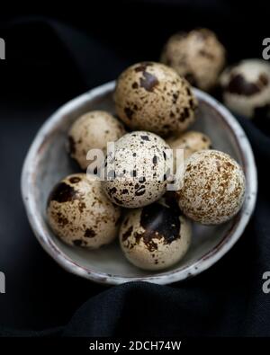 Wachteleier in weißer Schüssel auf schwarzem Hintergrund, Wachteleier, Wachtelhaufen Eier in Schüssel, gesprenkelte Eier, gesprenkelte Eier in Schüssel, Wachteleier dunklen Hintergrund Stockfoto