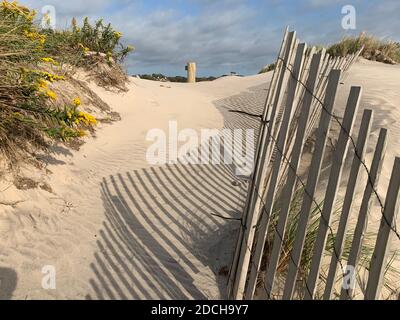 Detail der hügeligen Sanddüne an einem Strand mit Holz Einzäunung Stockfoto