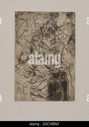 Radierung, Floris Verster, 1889, Signatur vorne, unten links, in der Radierung: FV, Tinte, Papier, bedruckt, Bildgröße: 26.8 x 18cm (268 x 180mm), Träger: 37.1 x 28,3cm (371 x 283mm), Tagesgröße: 28 x 19cm (280 x 190mm), mit Passe-Partout: 50.6 x 33cm (506 x 330mm), Blume, Pflanze, Radierung auf Papier mit Darstellung des Kapuzinerkresse. Auf der rechten Seite ist ein dunkler Topf oder eine Vase, aus der Zweige mit Blumen und Blättern der Kapuzinerkresse kommen. Signiert unten links in der Radierung. Radierung ist ein zeitgenössischer Druck aus der Zeit des Künstlers selbst, 1939 Stockfoto
