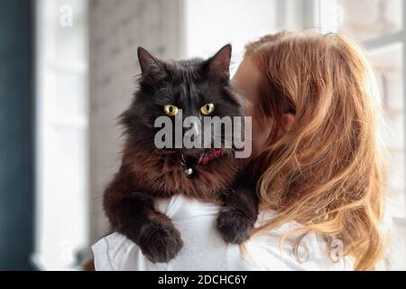 Cute inländische mit gelben Augen schwarze Katze sitzt auf Frau Schulter zu Hause Stockfoto