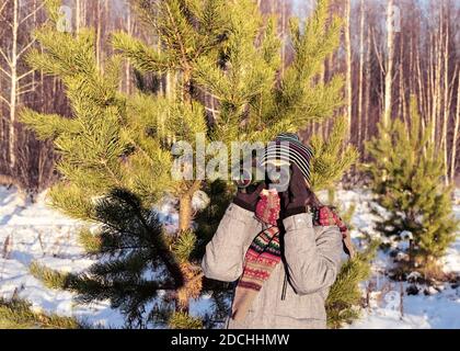 Junge Frau Vogelbeobachter in Winterkleidung und Strickschal Blick durch Ferngläser im Winter verschneiten Kiefernwald. Ökologie und ornithologische Forschung c Stockfoto