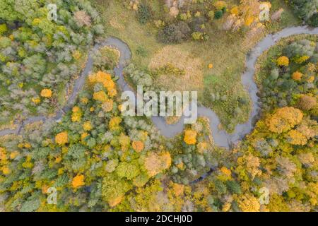 Luftaufnahme von oben nach unten des Flusses, der durch grünes Gelb fließt Herbstwald Stockfoto