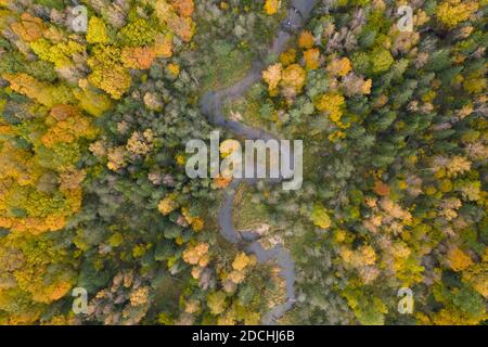 Luftaufnahme von oben nach unten des Flusses, der durch grünes Gelb fließt Herbstwald Stockfoto