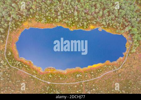 Luftaufnahme von oben nach unten Blick auf den dunkelblauen Sumpf See in Der grüne Wald mit Fußgängerbrücke um (Kalnansu purvs) Stockfoto