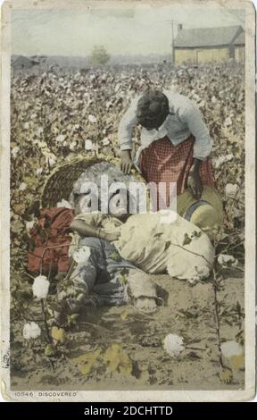 Entdeckt, im Land der König-Baumwolle (Baumwollfeld), Standbild, Postkarten, 1898 - 1931 Stockfoto