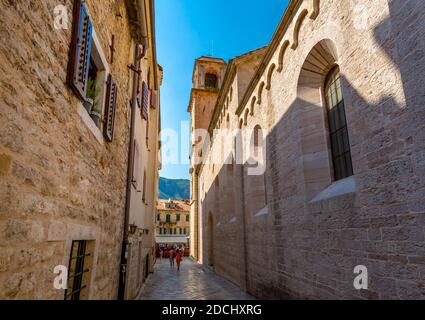 Blick auf St. Tryphon Kathedrale, Altstadt, UNESCO-Weltkulturerbe, Kotor, Montenegro, Europa Stockfoto