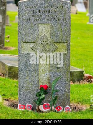 Gemalte Mohnblumen auf Grabstein des Royal Scots Lance Corporal, der im Ersten Weltkrieg 1917 starb, North Berwick, East Lothian, Schottland, Großbritannien Stockfoto