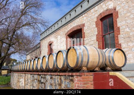 Australien; August 2020: Eichenfässer, ausgestellt vor dem Yalumba-Gebäude, dem ikonischen Winzer, Australiens ältestem Weingut in Familienbesitz. Barossa V Stockfoto