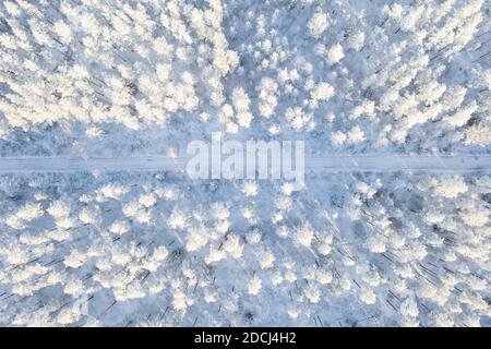 Luftaufnahme einer Autostraße im Winter schneebedeckten Kiefernwald. Winter Wald Textur mit Straße. Luftaufnahme. Luftdrohne Ansicht einer Winterlandschaft. S Stockfoto