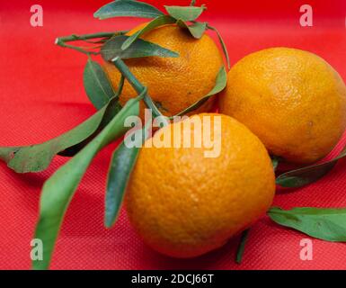 Orangefarbene Mandarinen mit grünem Laub auf rotem Hintergrund. Nahaufnahme, isoliert Stockfoto