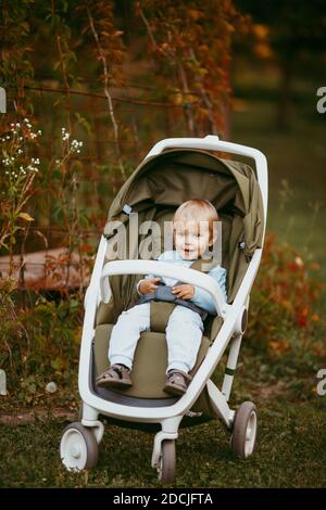 Ein schöner kleiner Junge in blauer Kleidung sitzt darin Ein Kinderwagen und lächelnd auf jemanden an einem Herbsttag Im Park Stockfoto